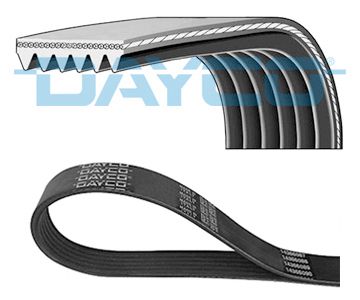 Correa Poli V DAYCO 6PK1095 — Fiat, Opel, VW, Seat, Skoda, Peugeot, Lancia